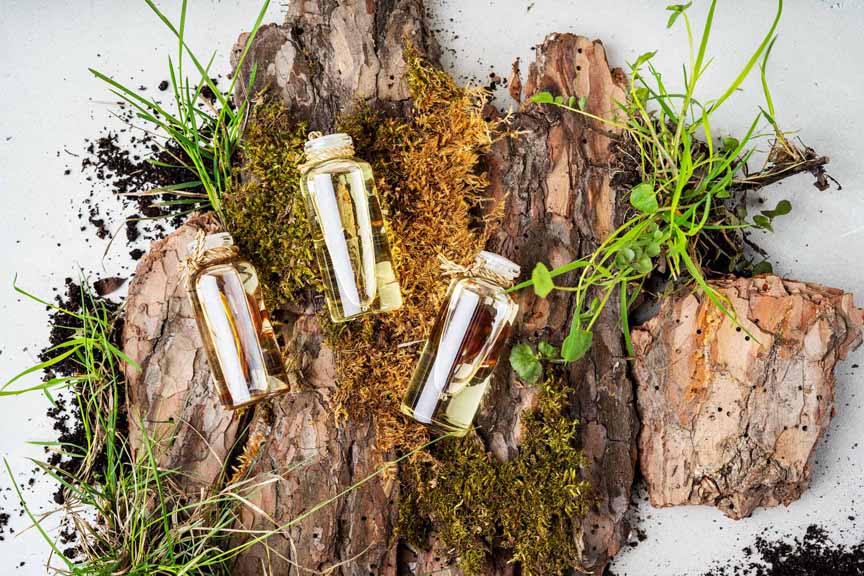 Flat lay composition with three glass bottles of body care organic cosmetics with oil frangipani, sandal wood, patchouli over Natural background of real tree bark, tiny mosses and grass on light concrete surface with copy space.